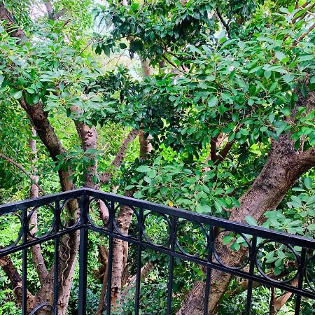 كانكون Villa Antilope المظهر الخارجي الصورة