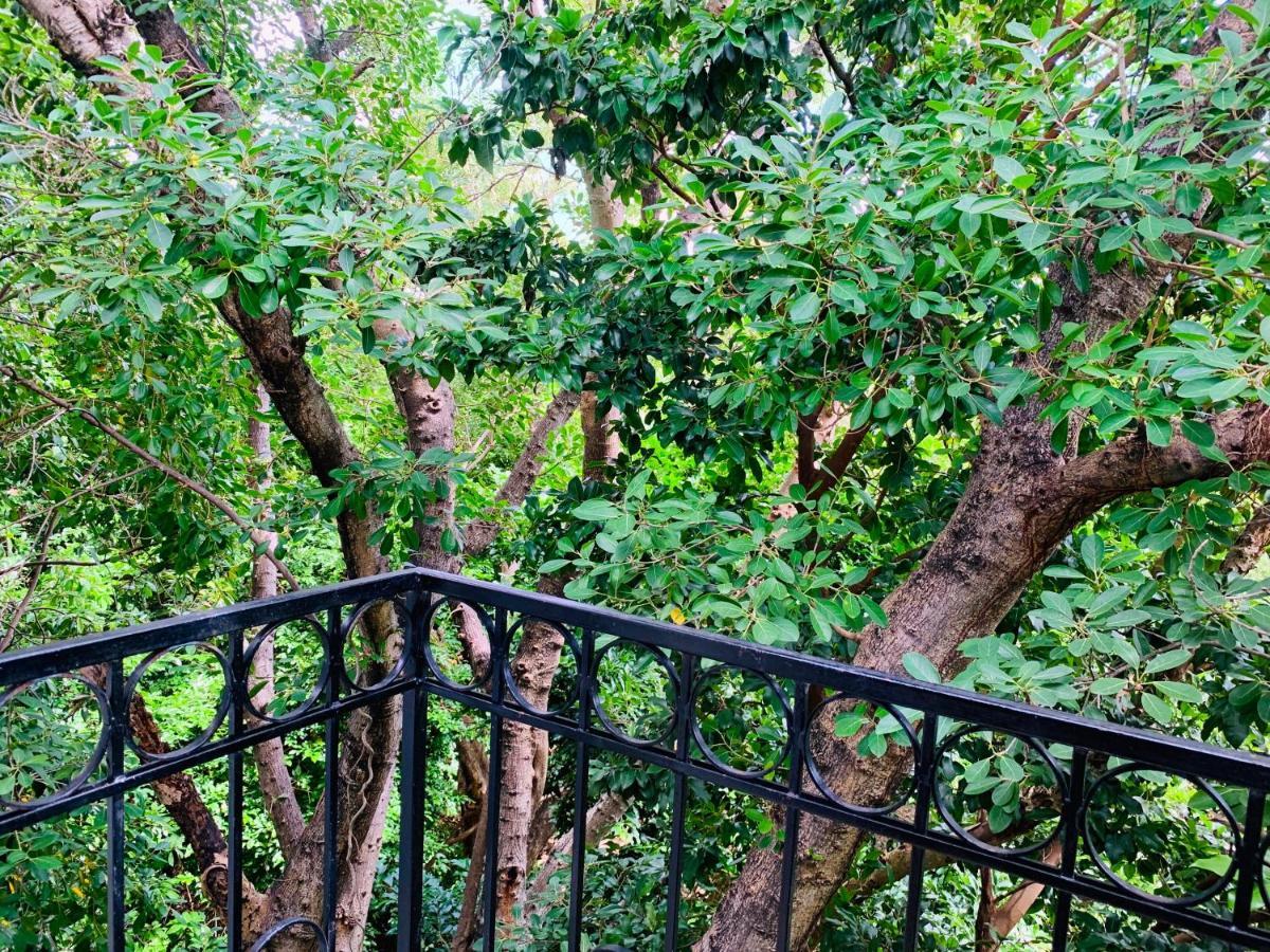 كانكون Villa Antilope المظهر الخارجي الصورة