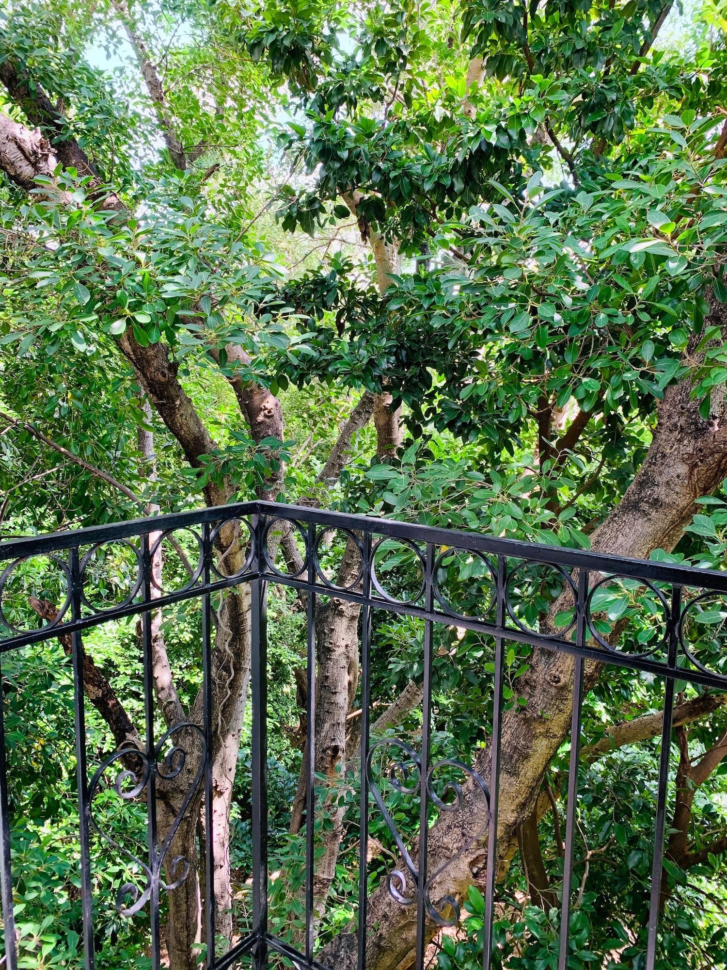 كانكون Villa Antilope المظهر الخارجي الصورة